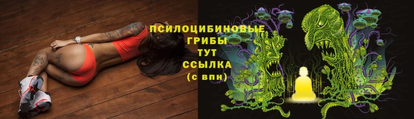 эйфоретик Майский