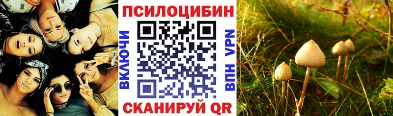 кракен маркетплейс  Пыть-Ях  Галлюциногенные грибы мицелий 