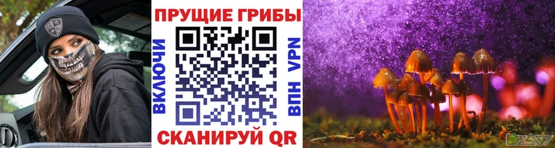Псилоцибиновые грибы мухоморы Пыть-Ях