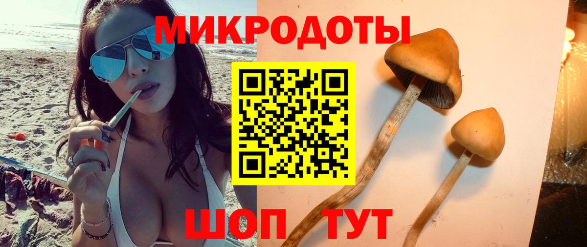 Пыть-Ях  Галлюциногенные грибы Psilocybine cubensis  магазин    Вход с VPN 
